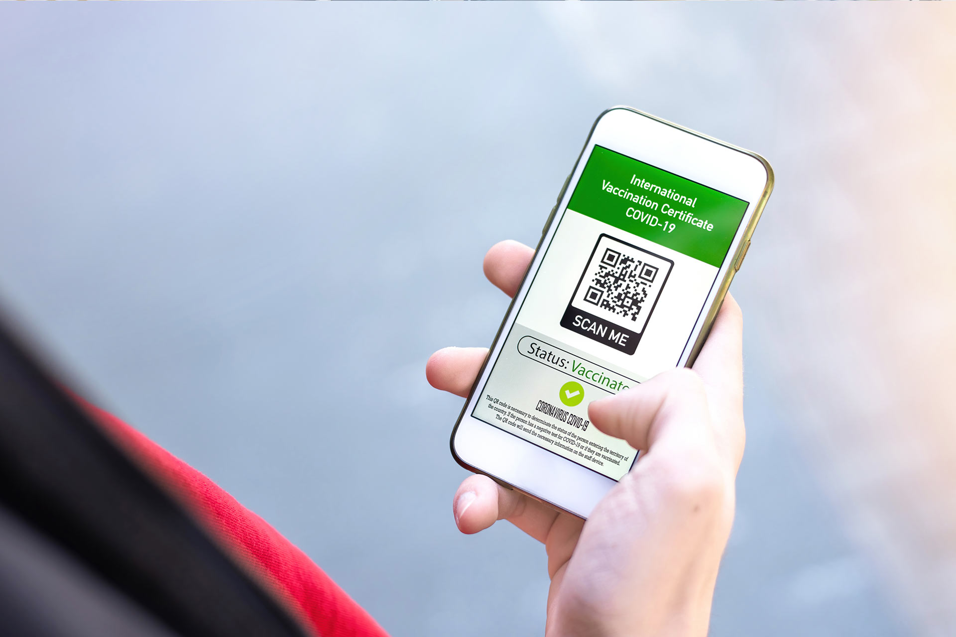 WingsWhats: du Marketing sur Whatsapp en Tunisie